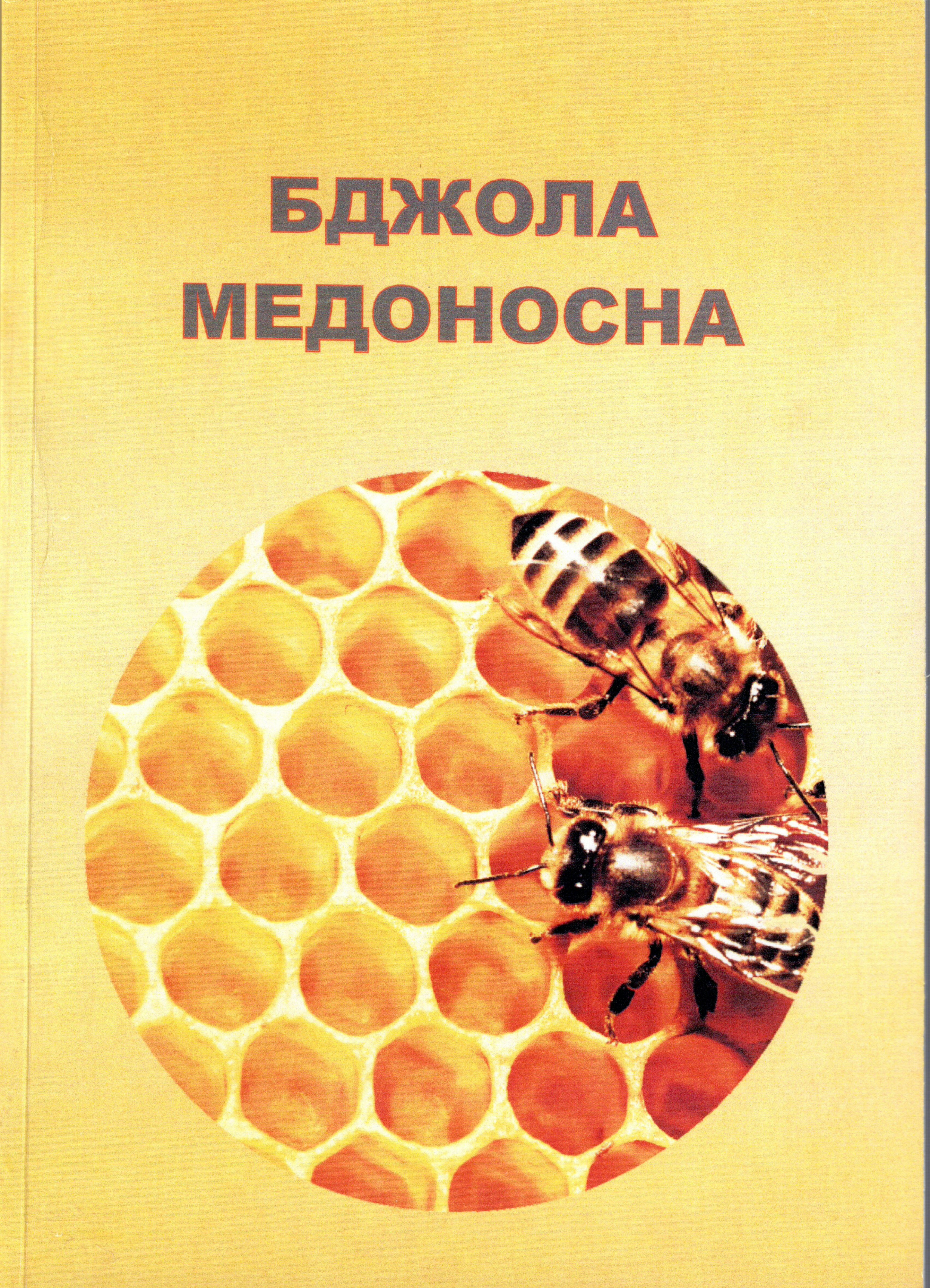 Бджола медоносна 