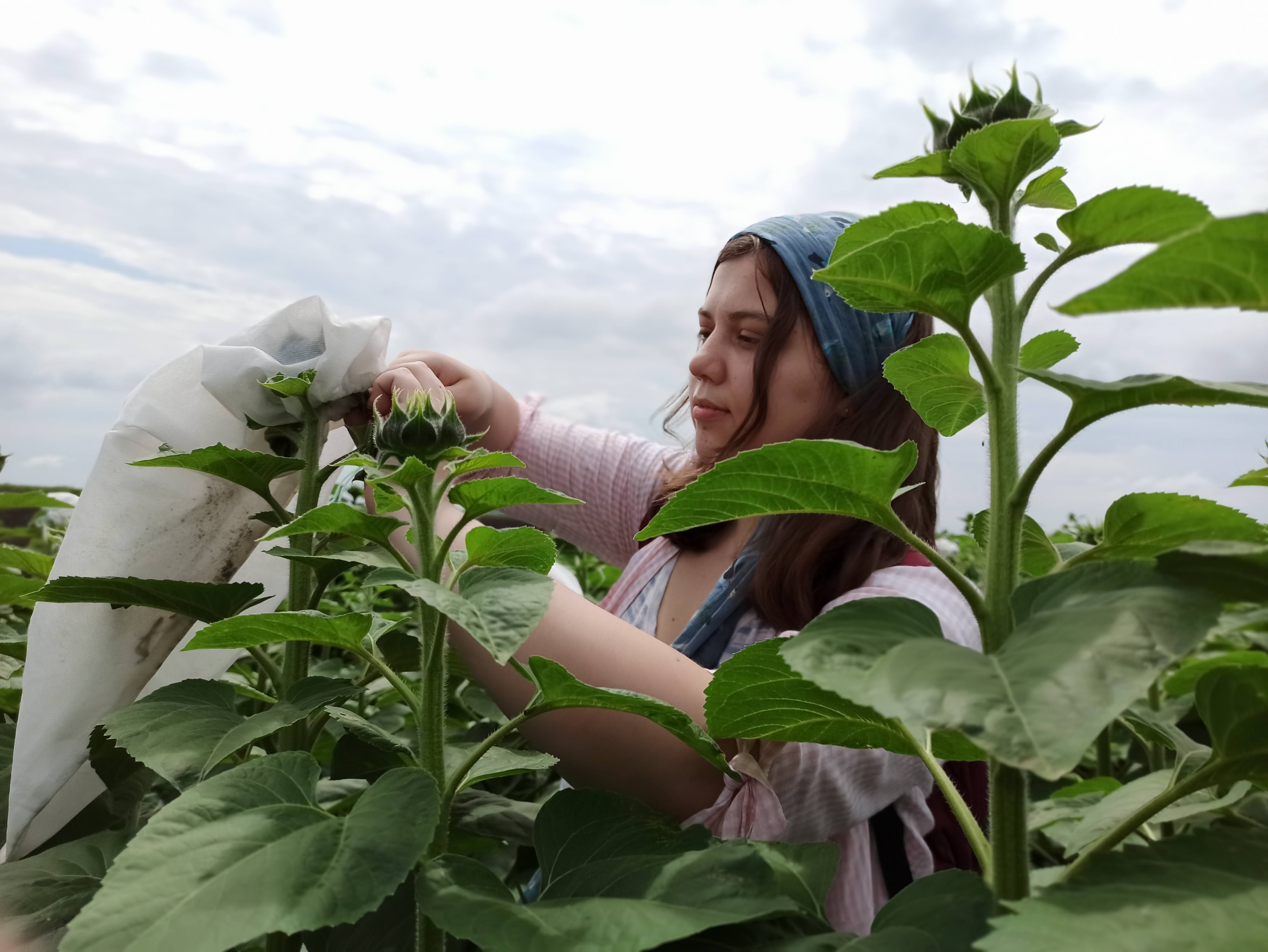 Світлина 12