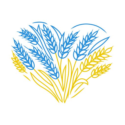 Сучасна українська мова. Морфологія (ч.2) (В11)