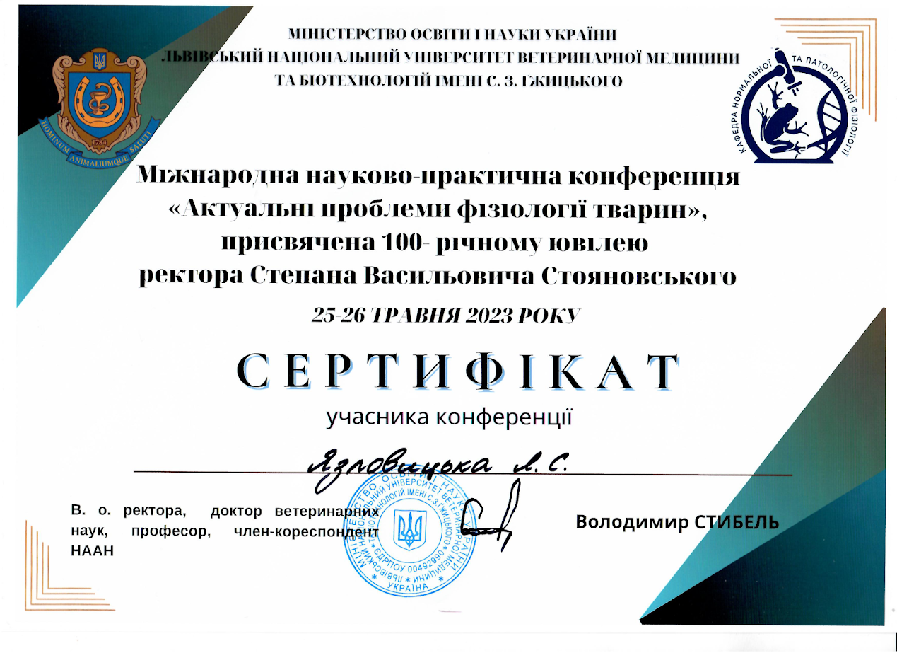 Світлина 6