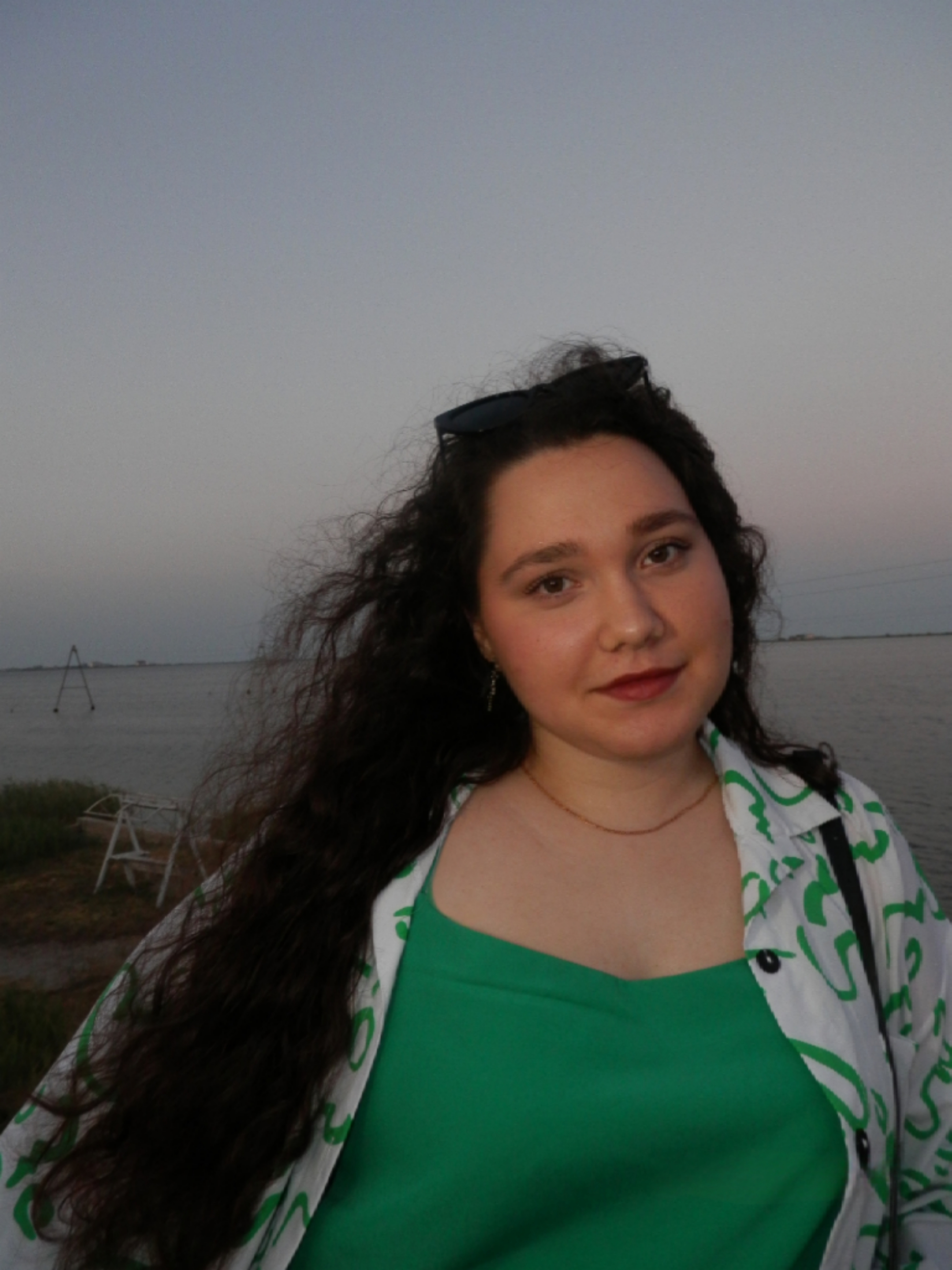 Ганна Гаврилова, голова інформаційної комісії 