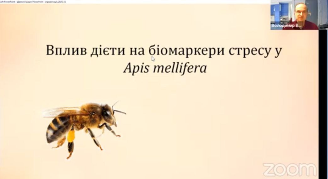 захист Караван 