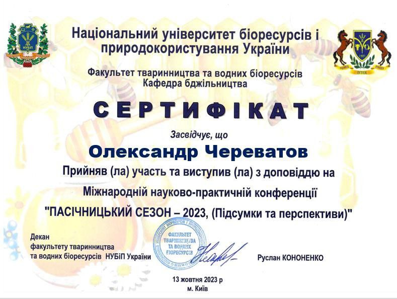 Світлина 6