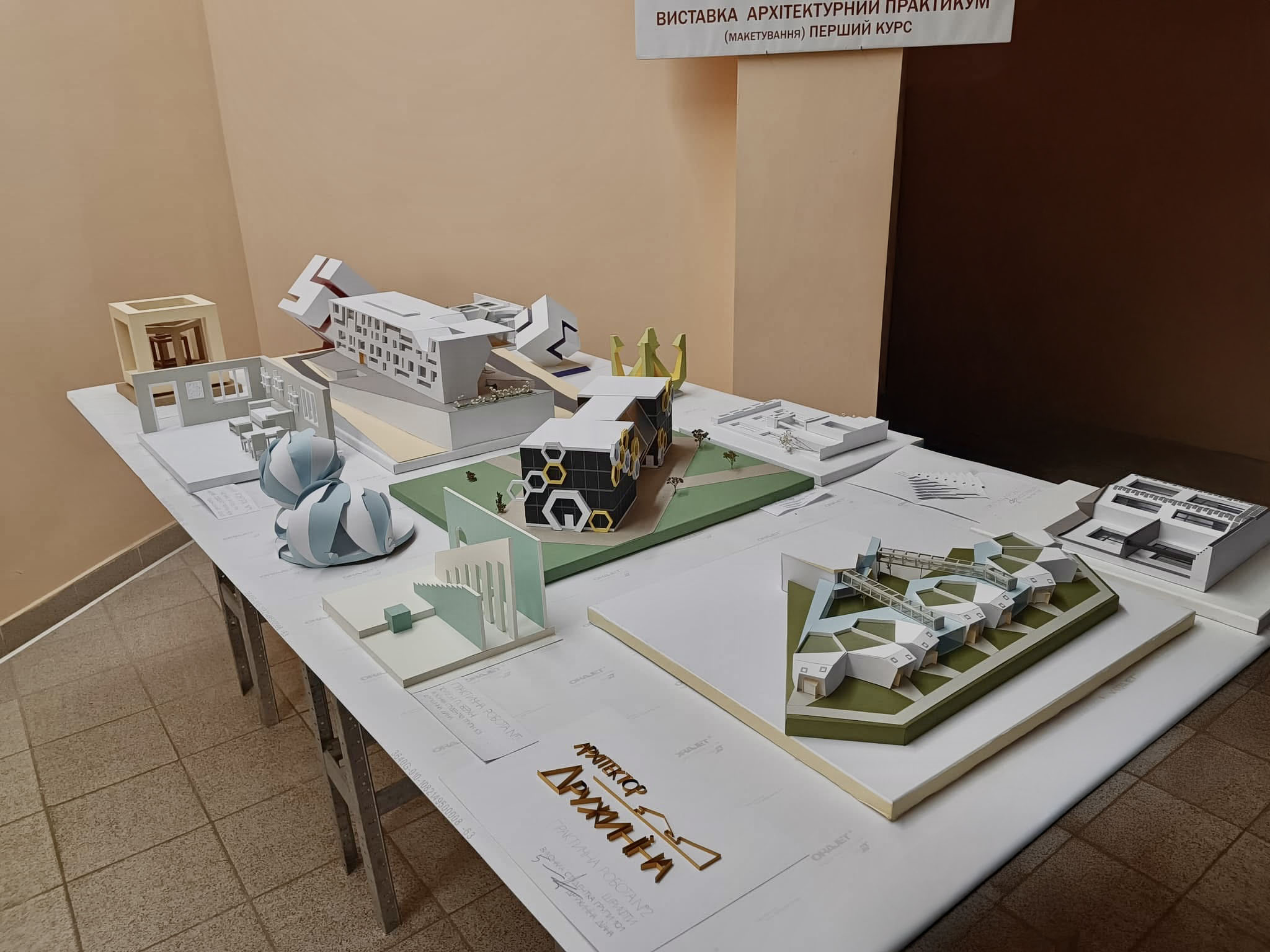 Світлина 9