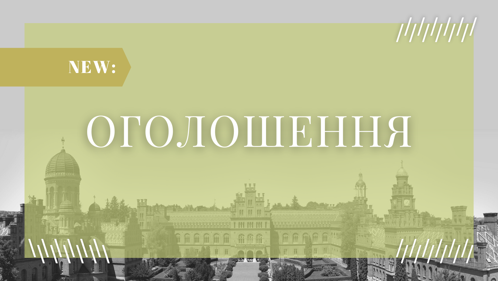 Зустріч із представниками Ради молодих учених при МОН України