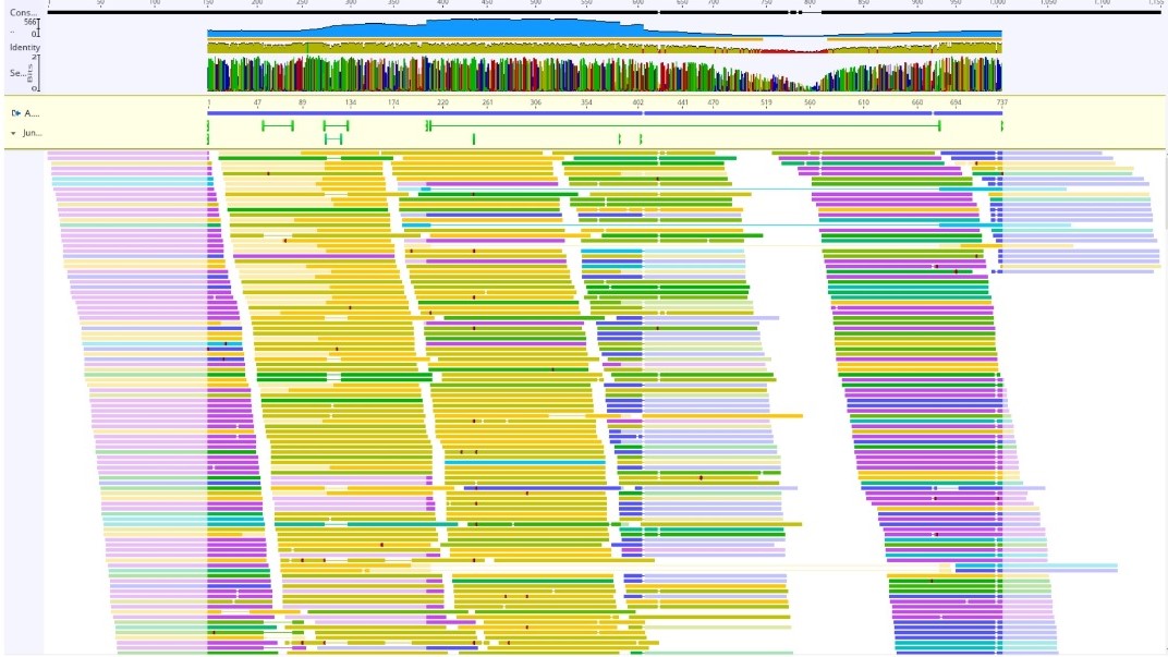 Новий університетський сервер для біоінформатичних досліджень
