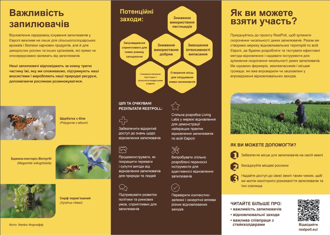 restpoll_flayer_2