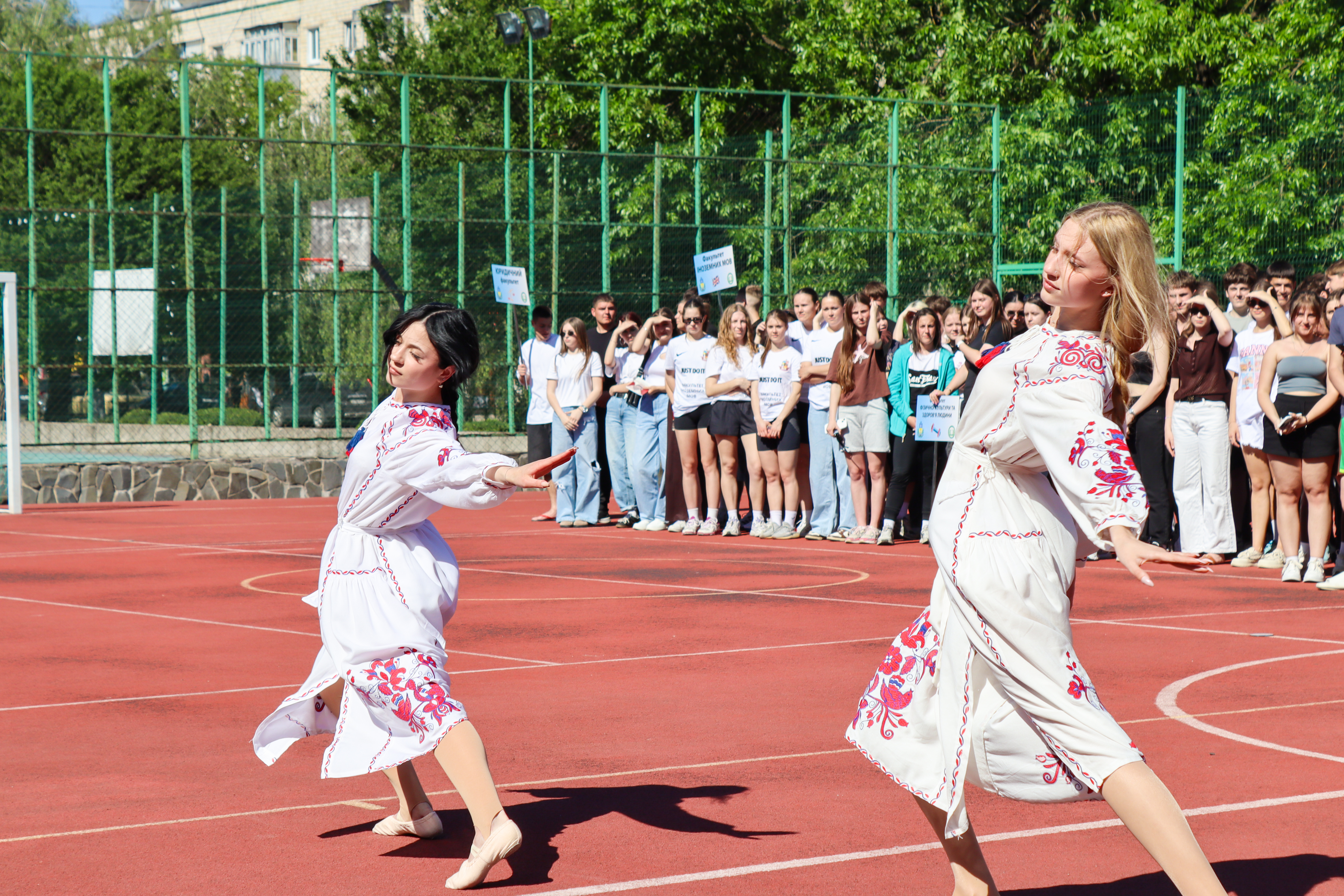 Світлина 5