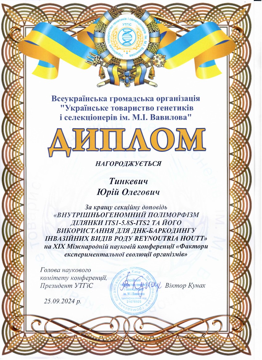 Світлина 8