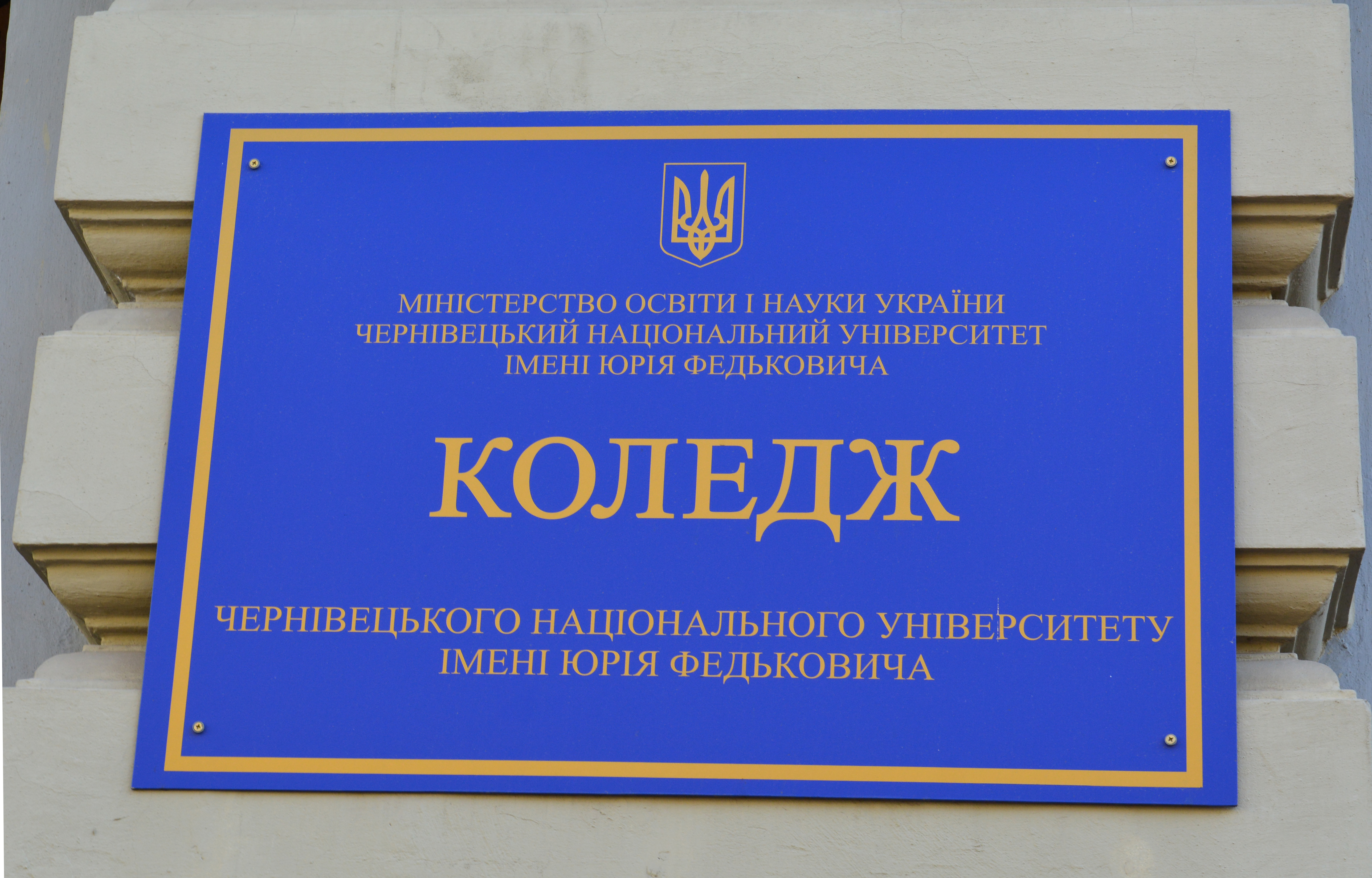 Світлина 2