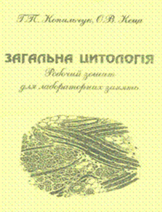 tsyt-5