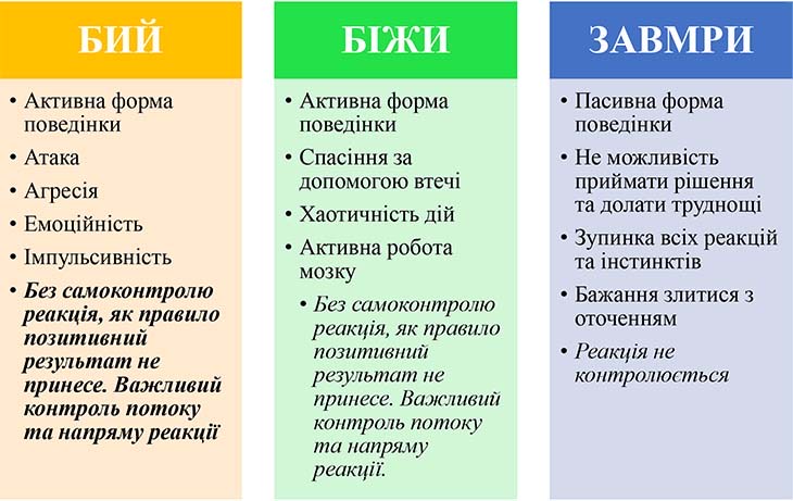 image_6487327589