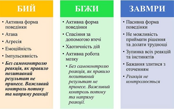 image_6487327589