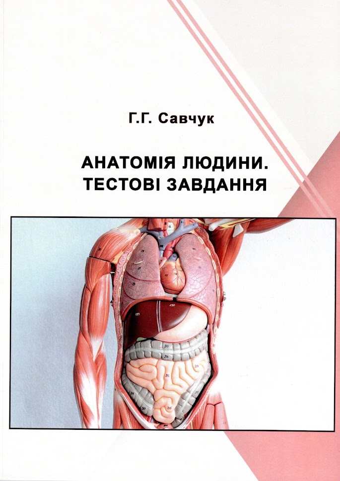 Анатомія людини: тестові завдання