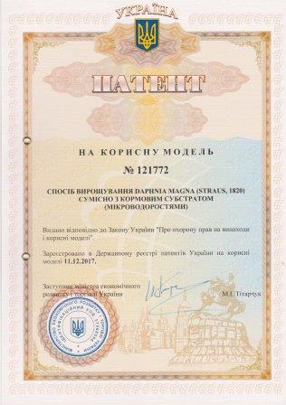 Отримання патенту на корисну модель
