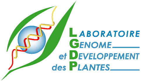CNRS, Laboratoire Génome et Développement des Plantes, Perpignan, France