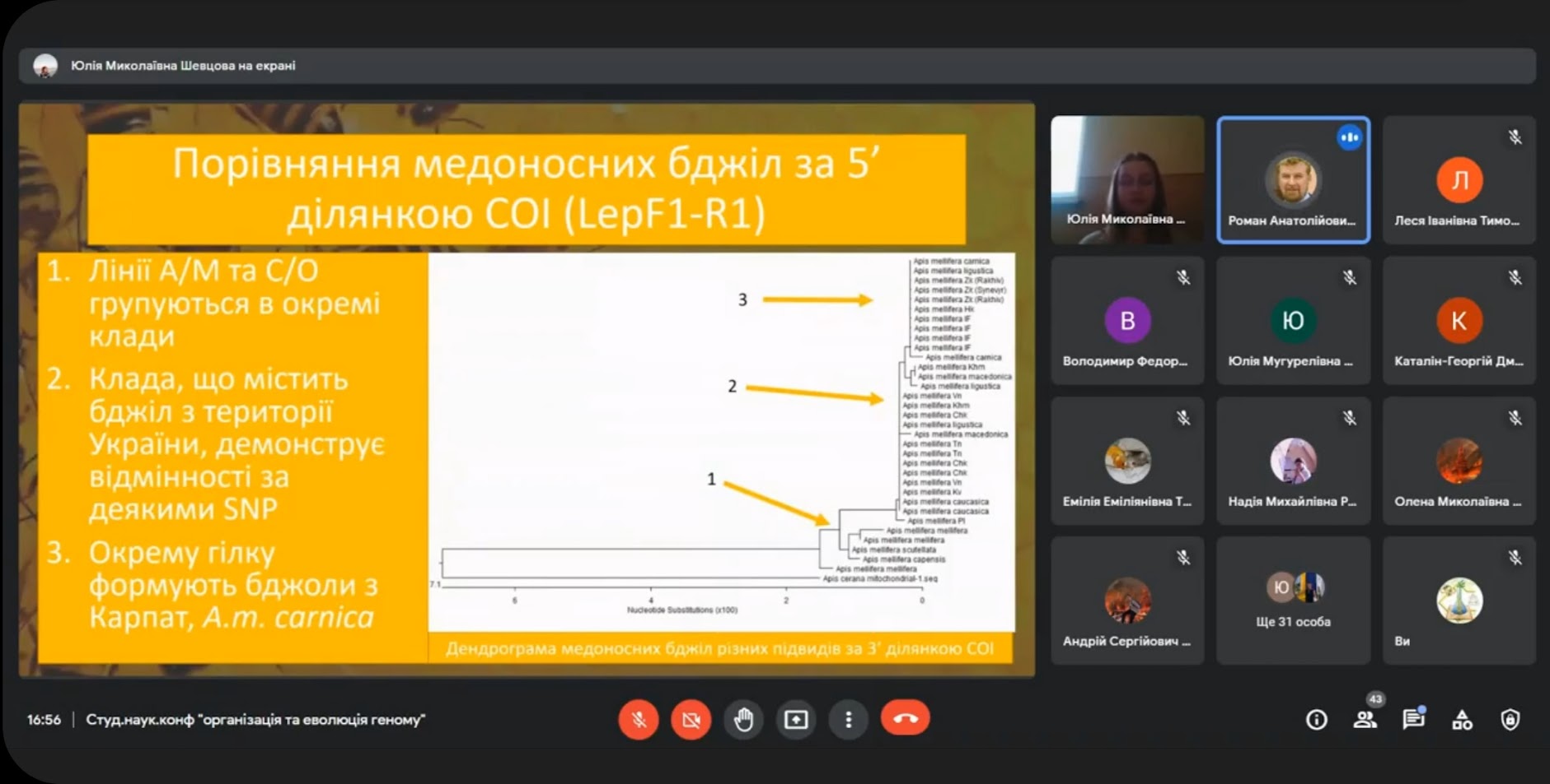 Шевцова Ю. Філогенетична характеристика українських популяцій медоносних бджіл на основі аналізу 5’ ділянки СОІ.