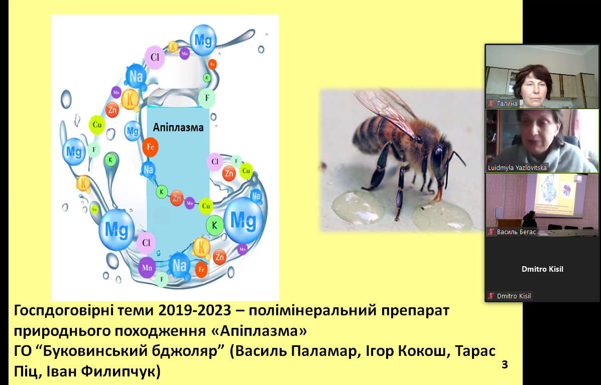 Світлина 1