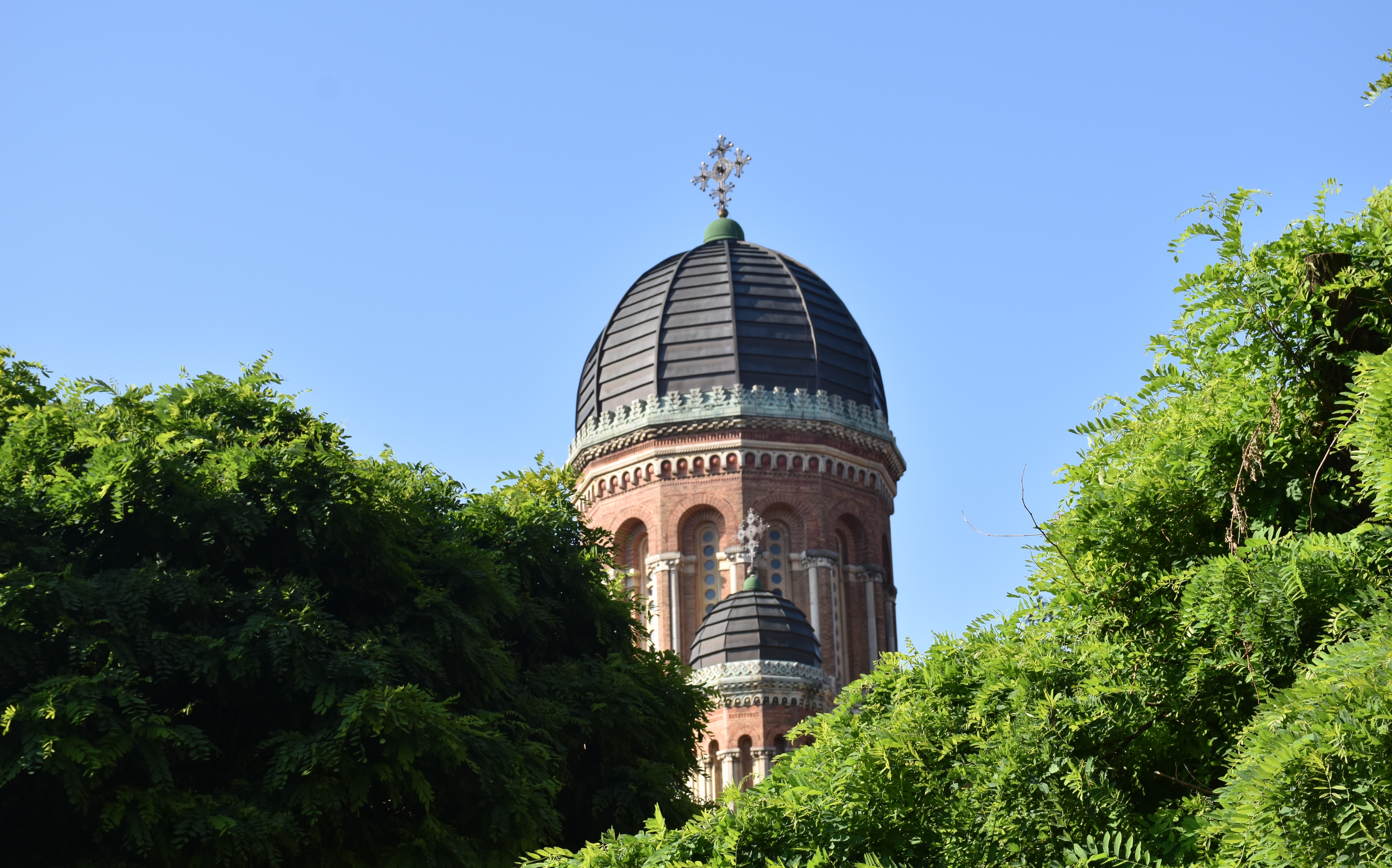 Студкуратори приступили до виконання своїх обов'язків