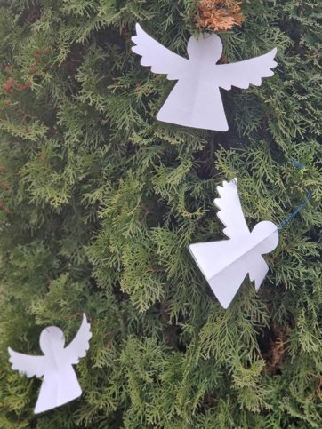 photo_2024-02-20-161903