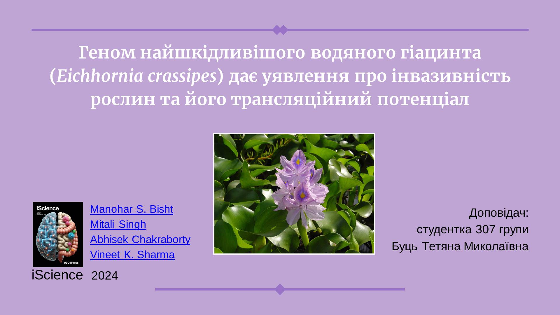 Світлина 6