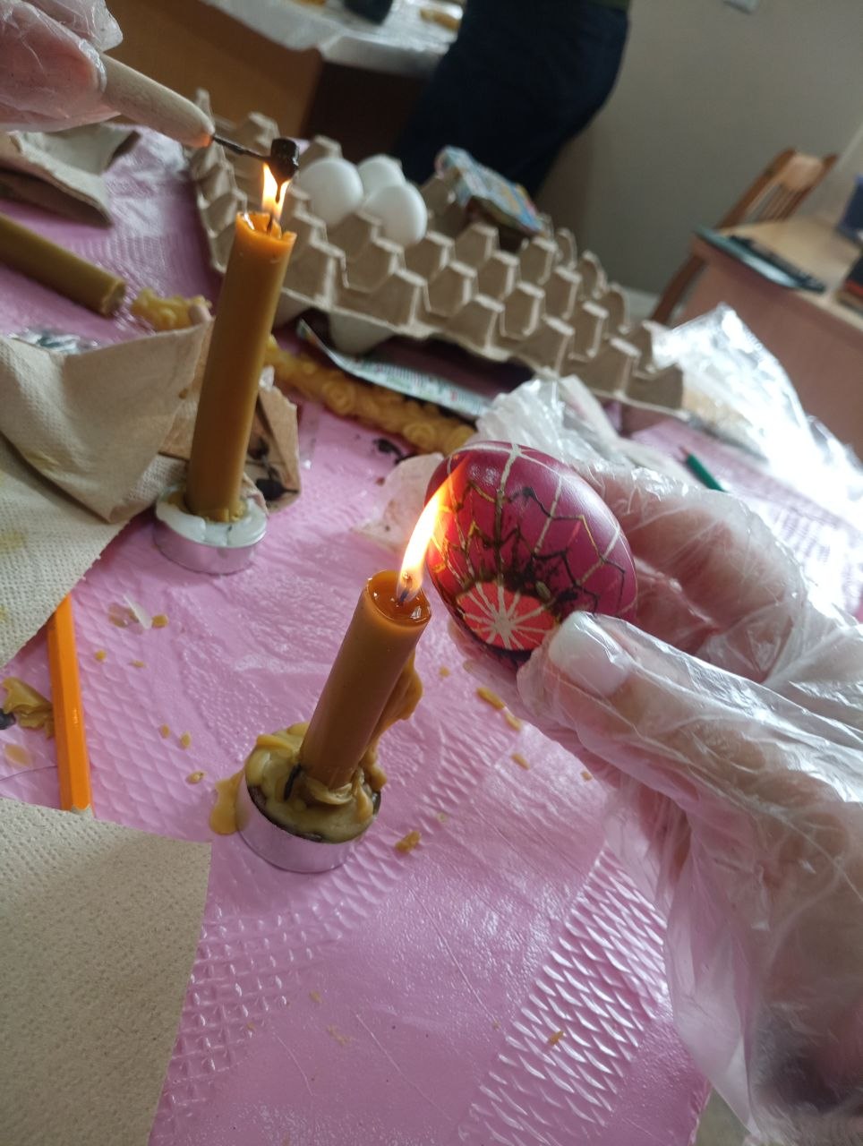 Світлина 7