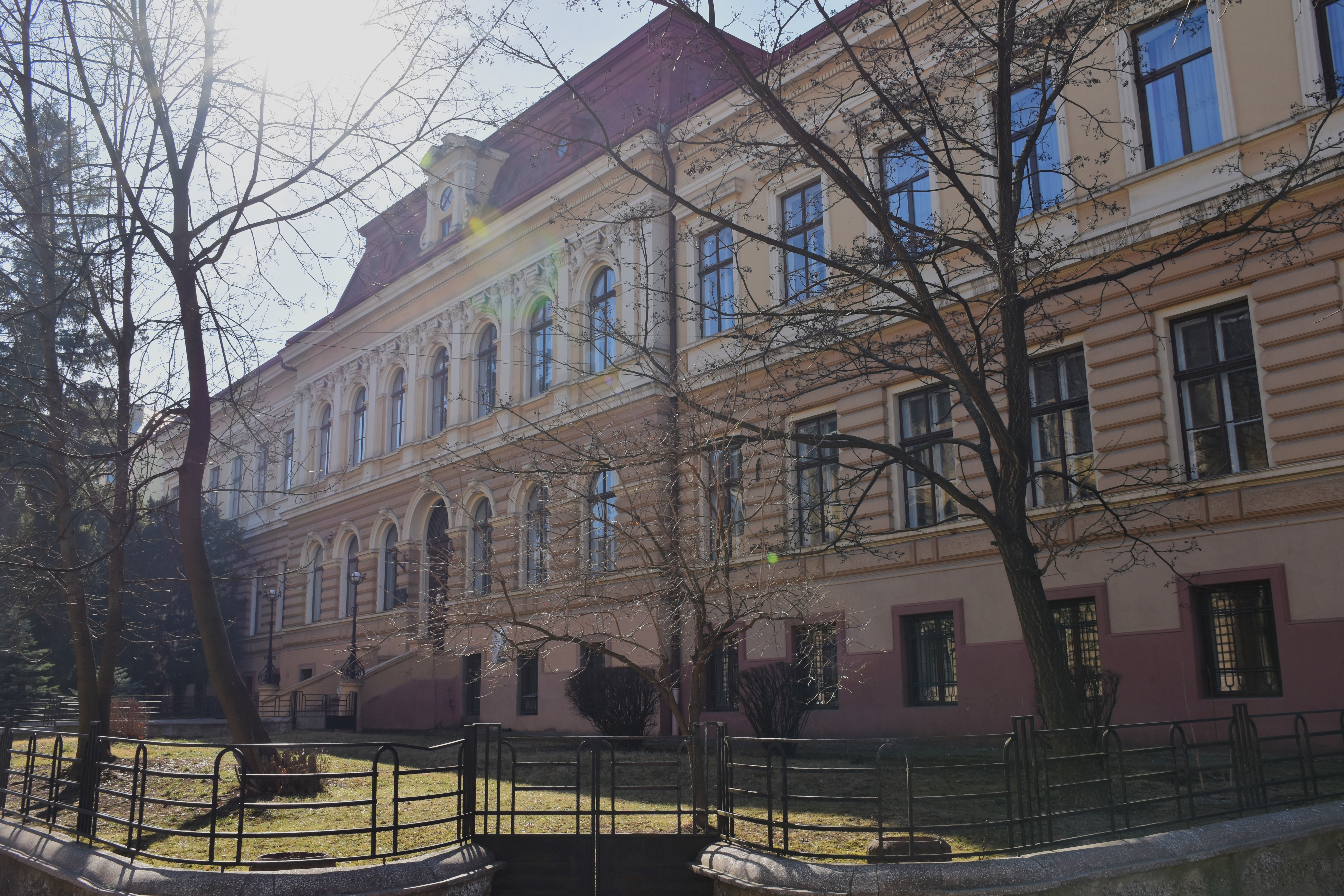 Світлина 8