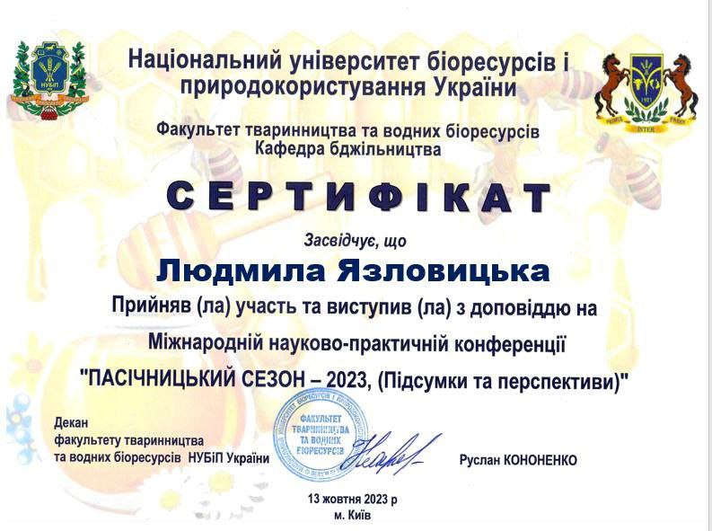 Світлина 5