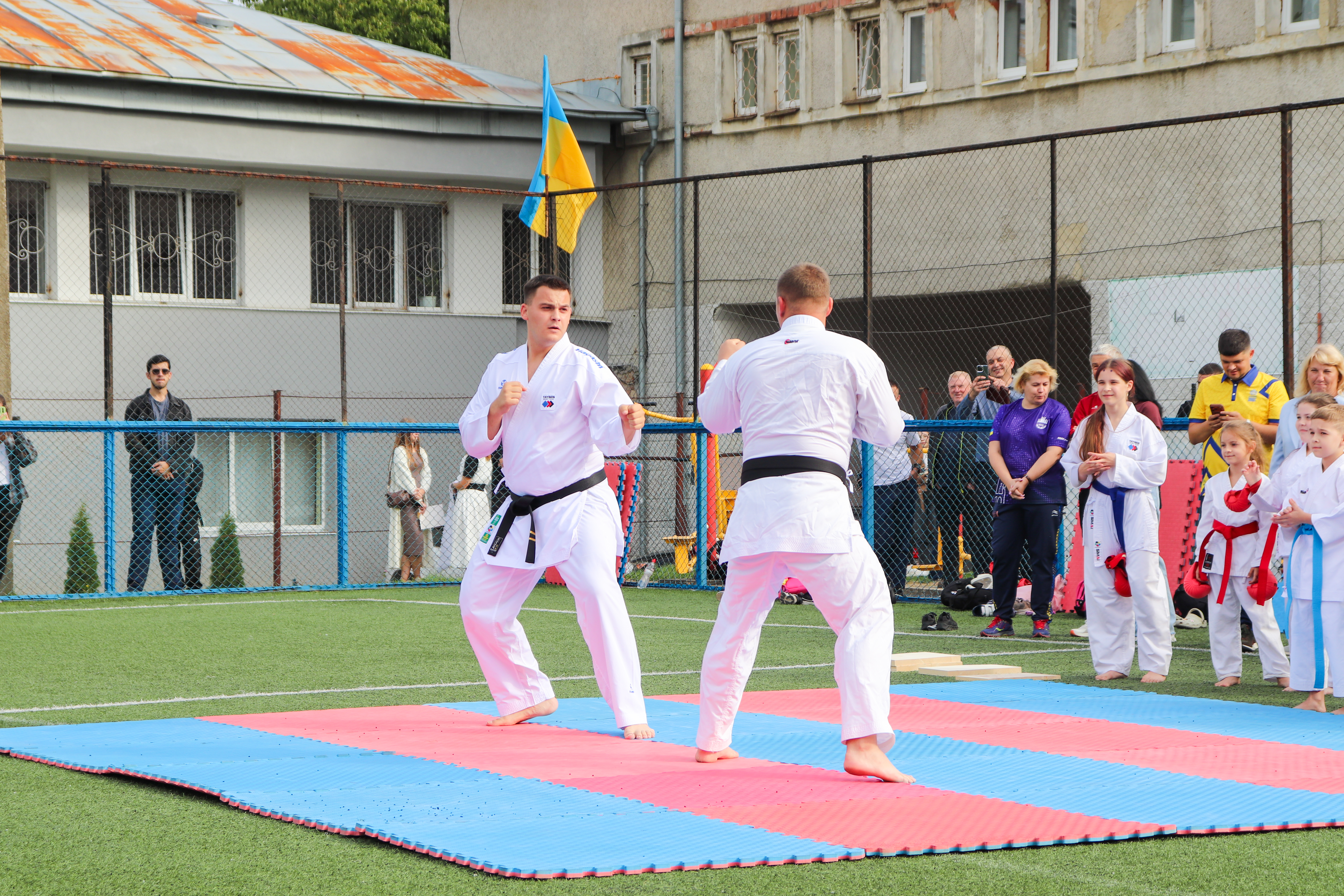 Світлина 19