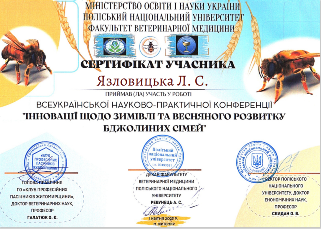 Світлина 3