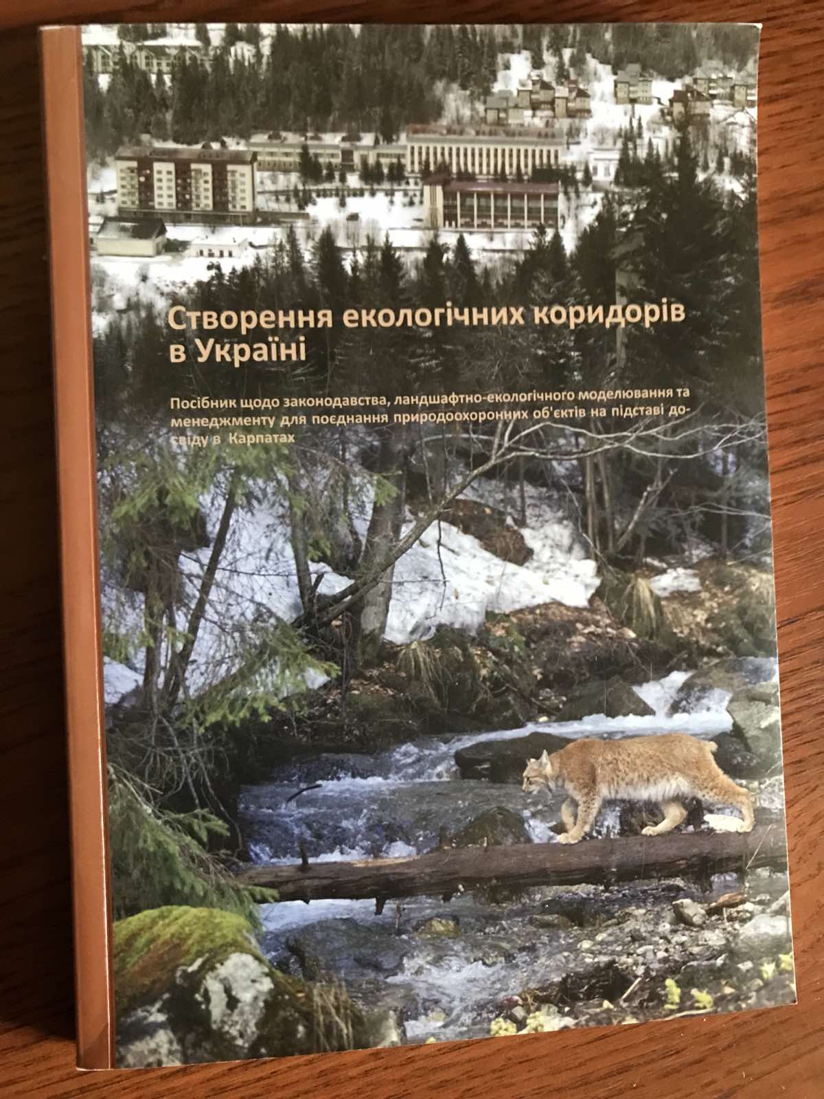 ФОТОЗВІТ