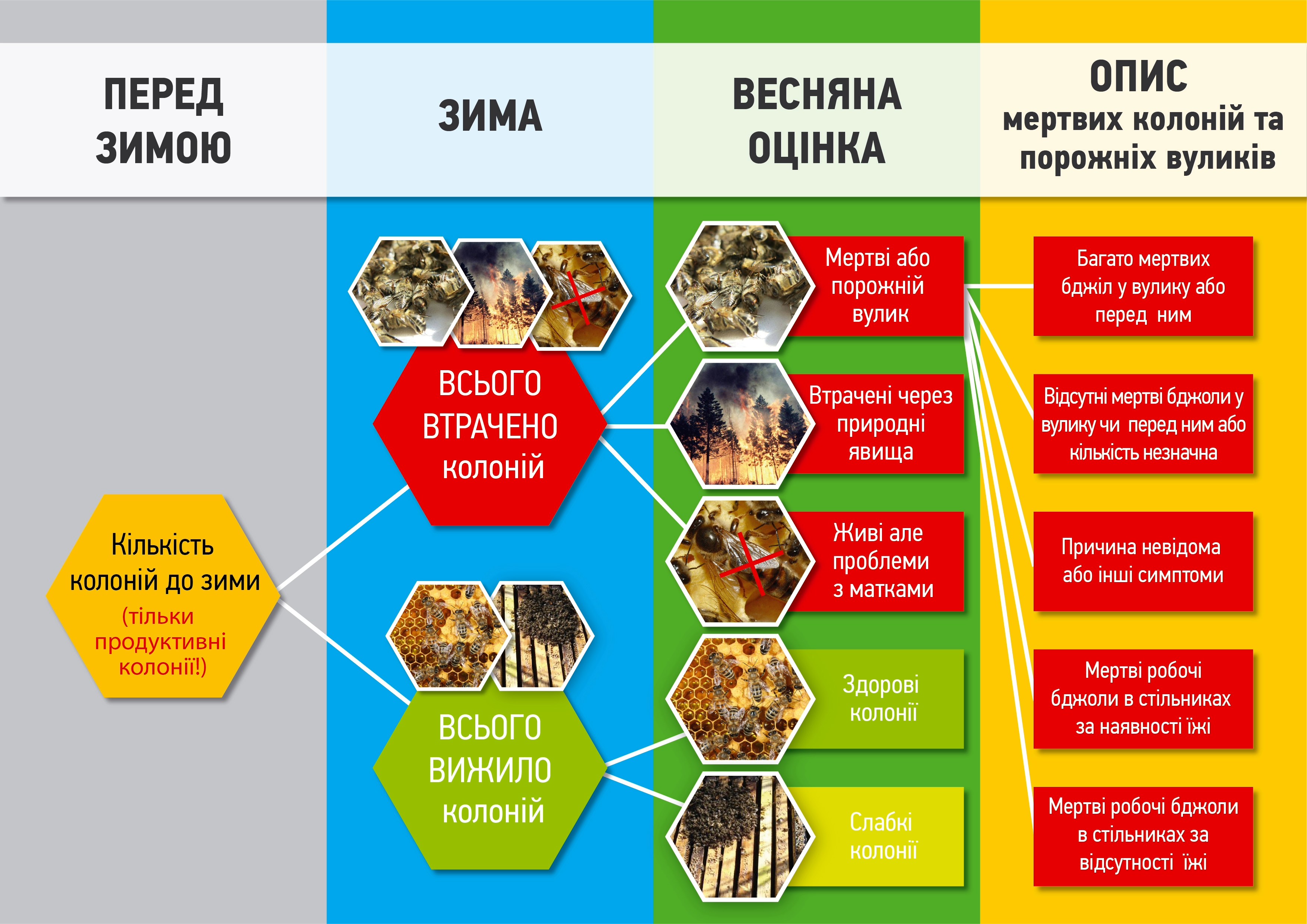 Втрати бджолиних колоній