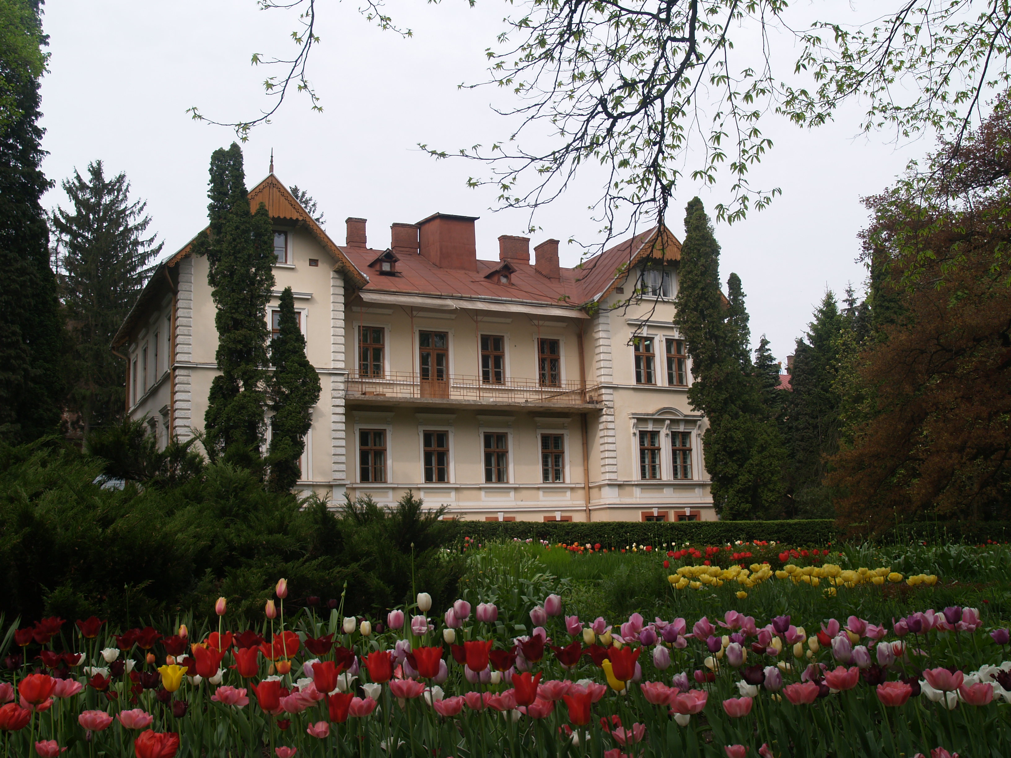 Світлина 4