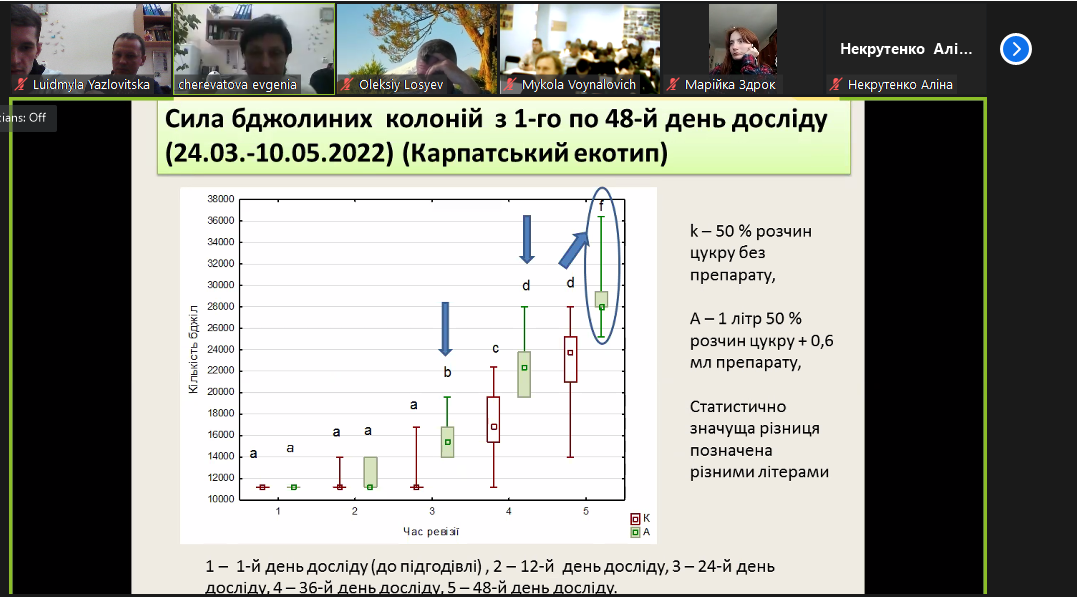 Світлина 2