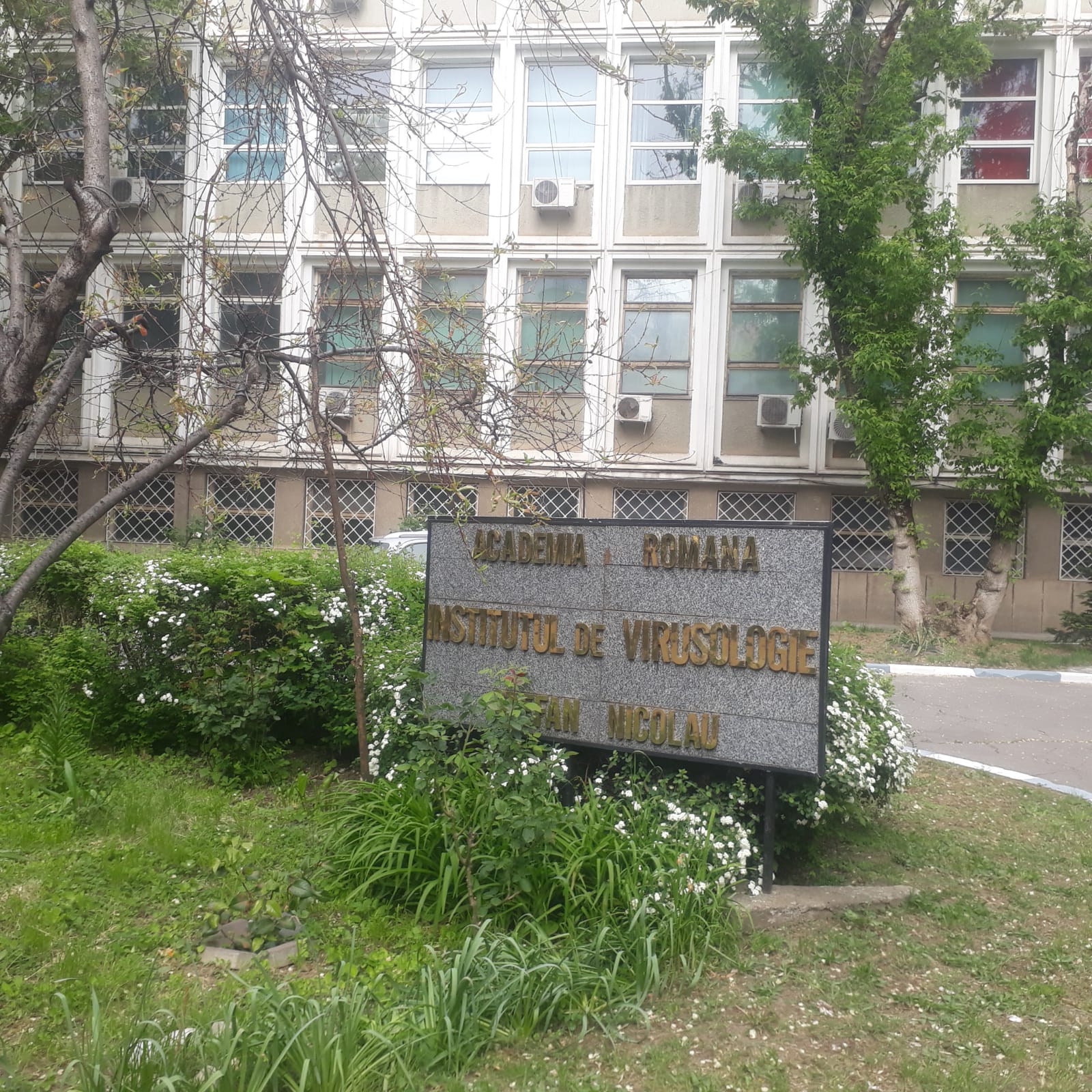 Інституту вірусології імені Стефана Ніколау 