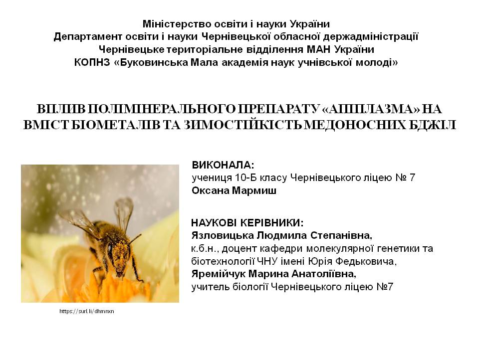 ІІ етап Всеукраїнського конкурсу-захисту науково-дослідницьких робіт учнів – членів Буковинської Малої академія наук учнівської молоді