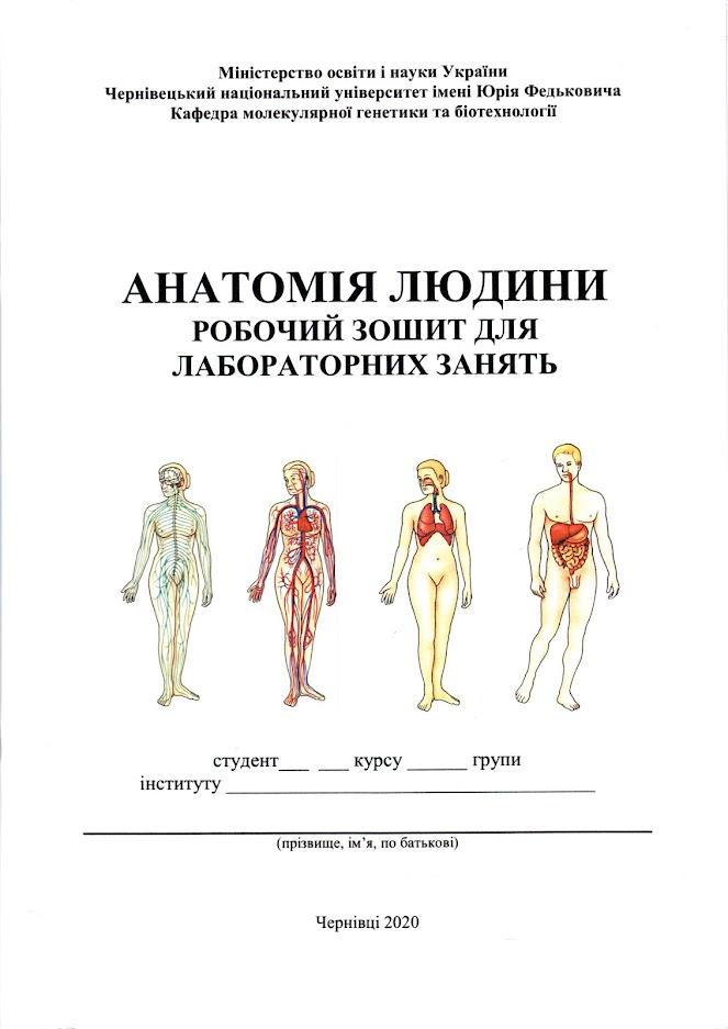 Анатомія людини робочий зошит для лабораторних занять