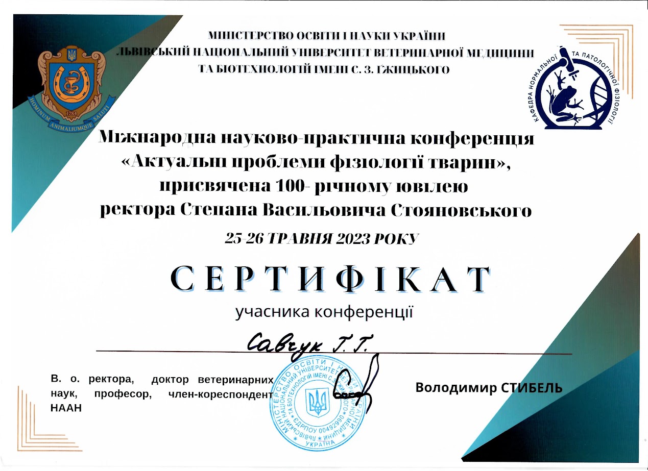 Світлина 7