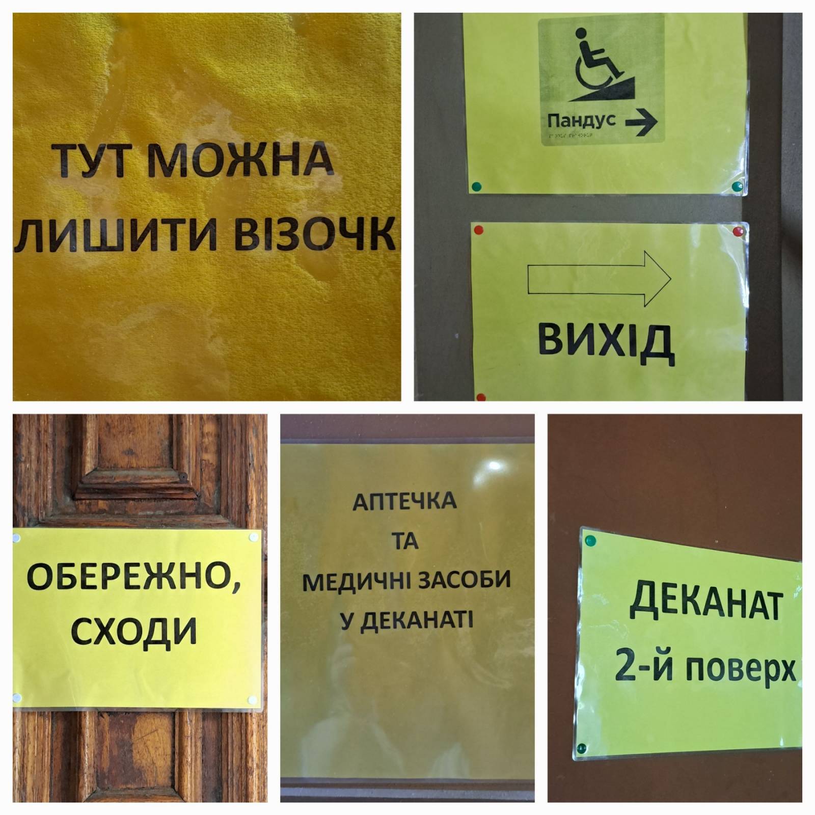 Світлина 2