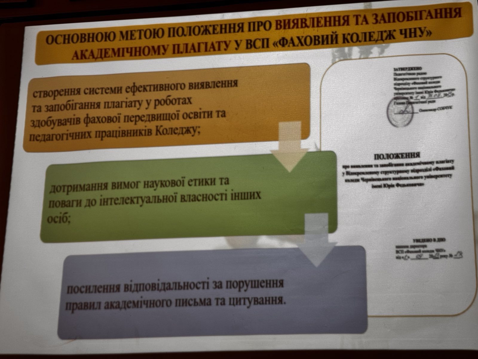 Світлина 14