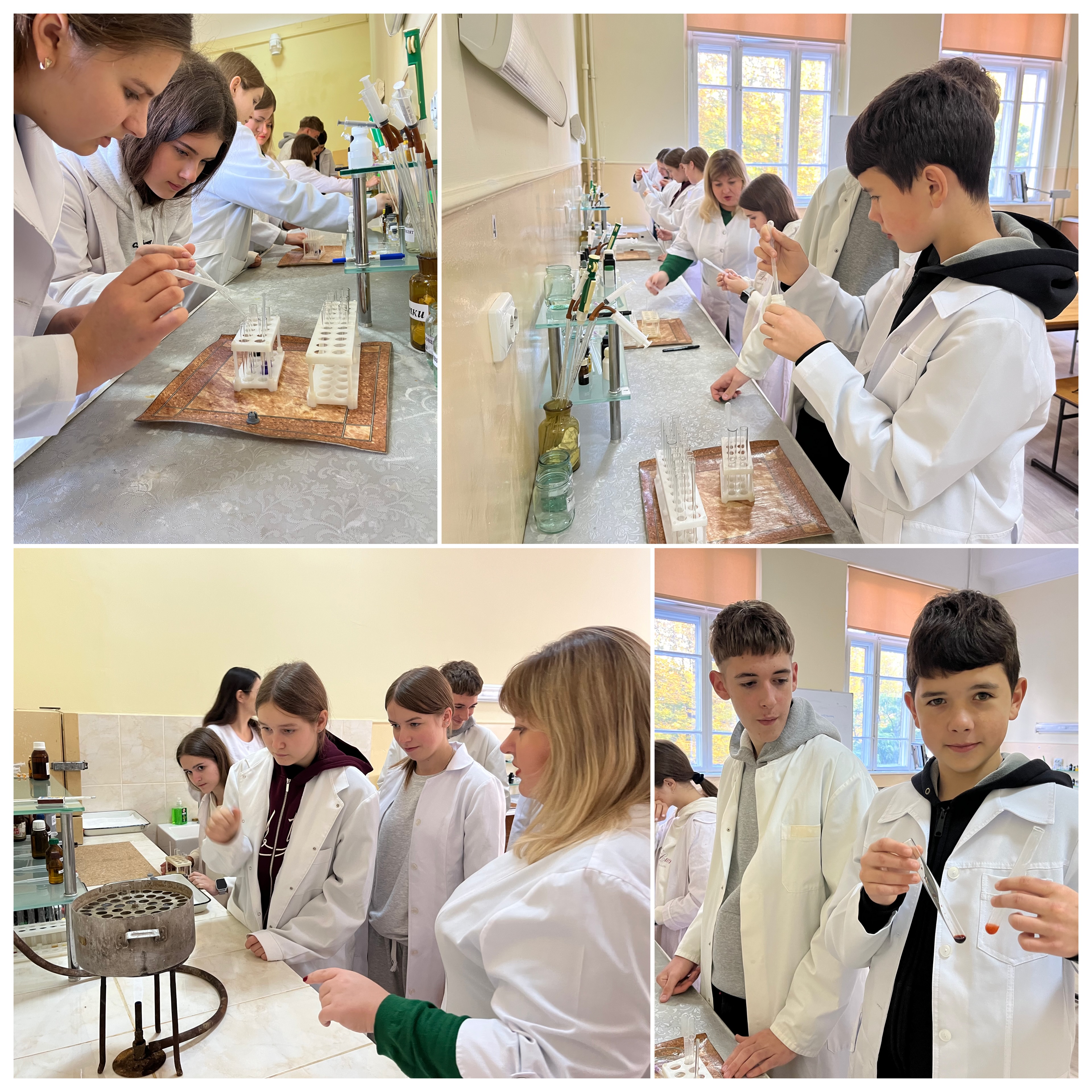 Профорієнтаційне заняття для слухачів Буковинської Малої академії наук учнівської молоді (15.10.2025 р.)