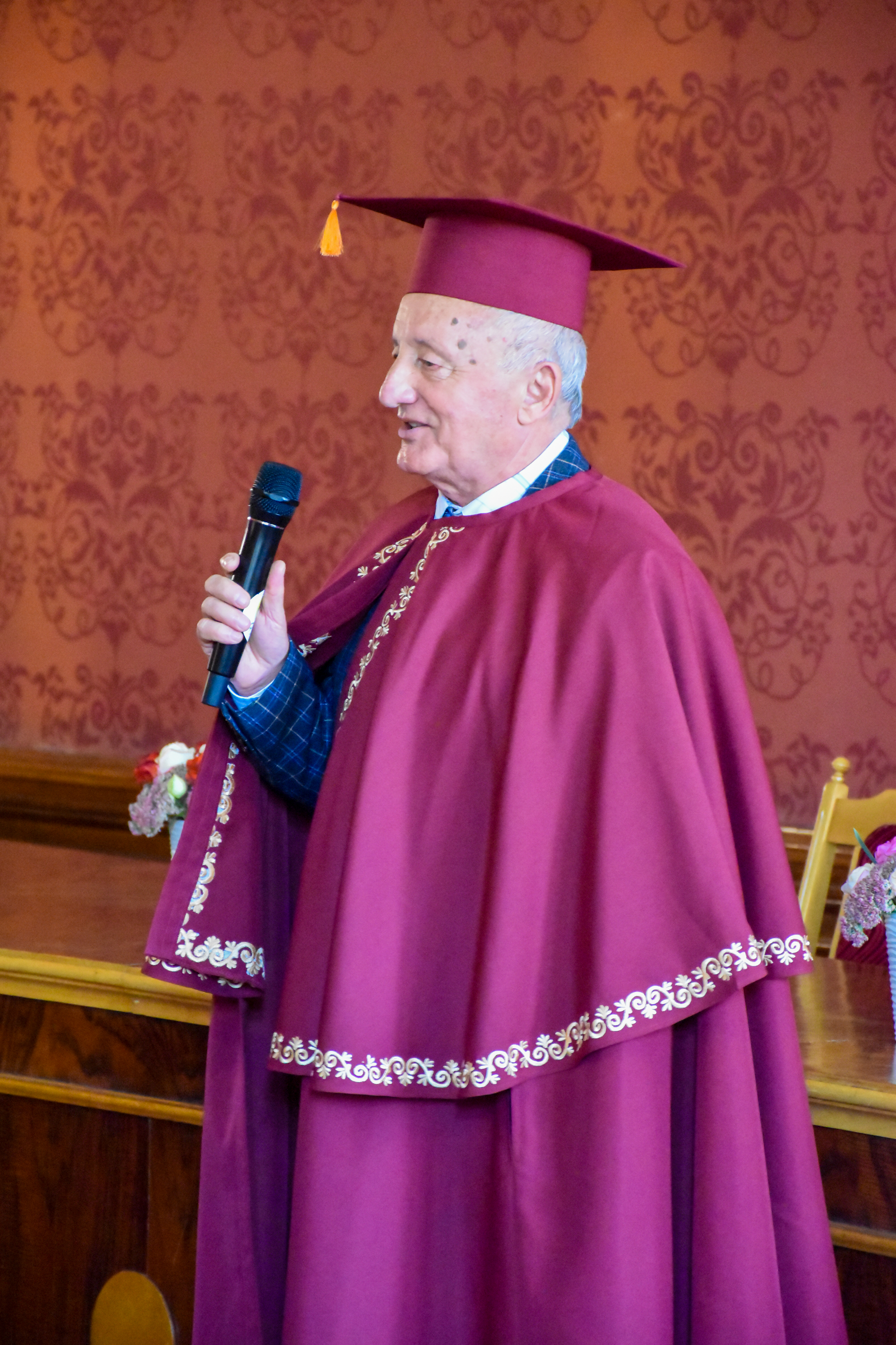 Світлина 12