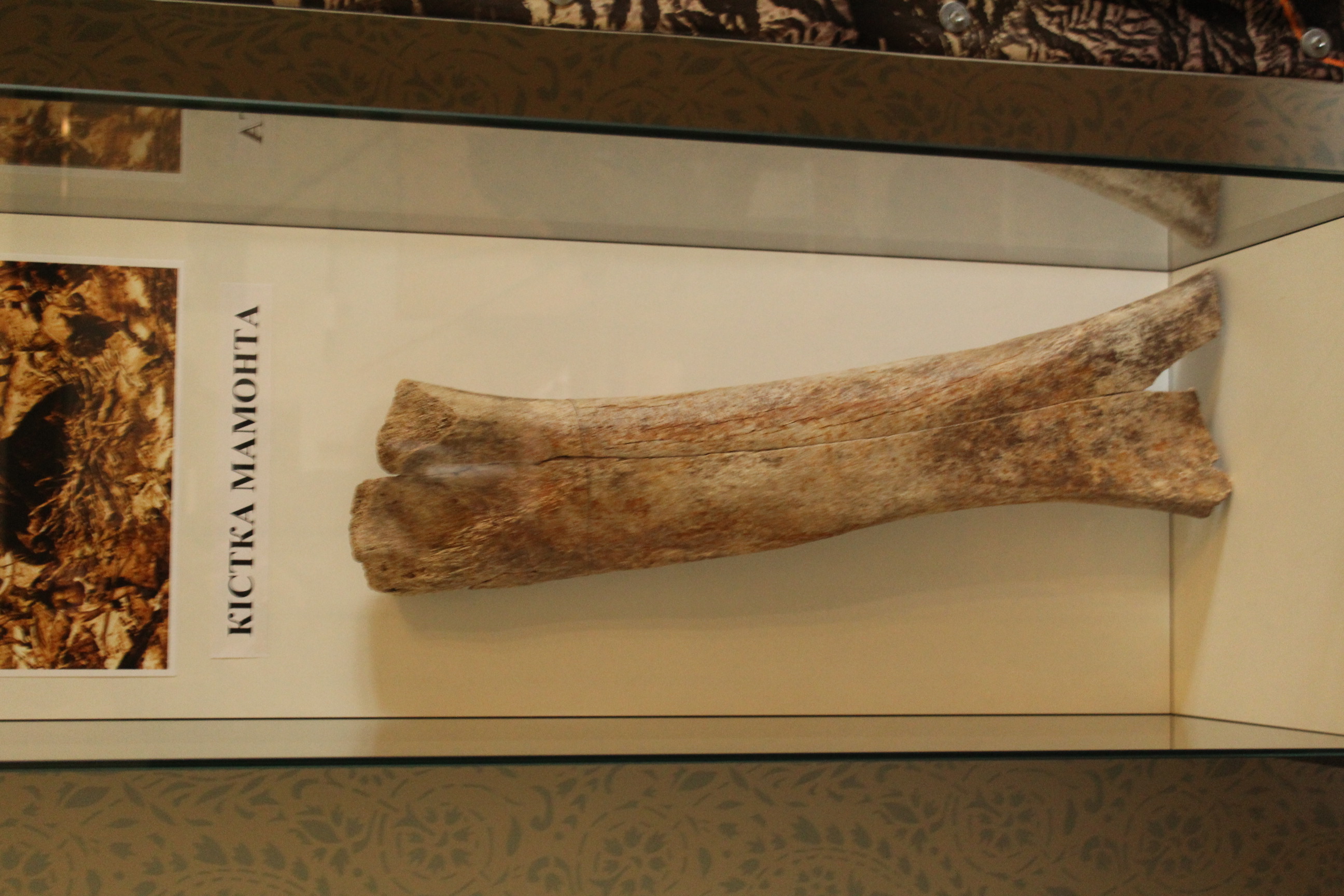 Museum of Ethnography and Ancient History