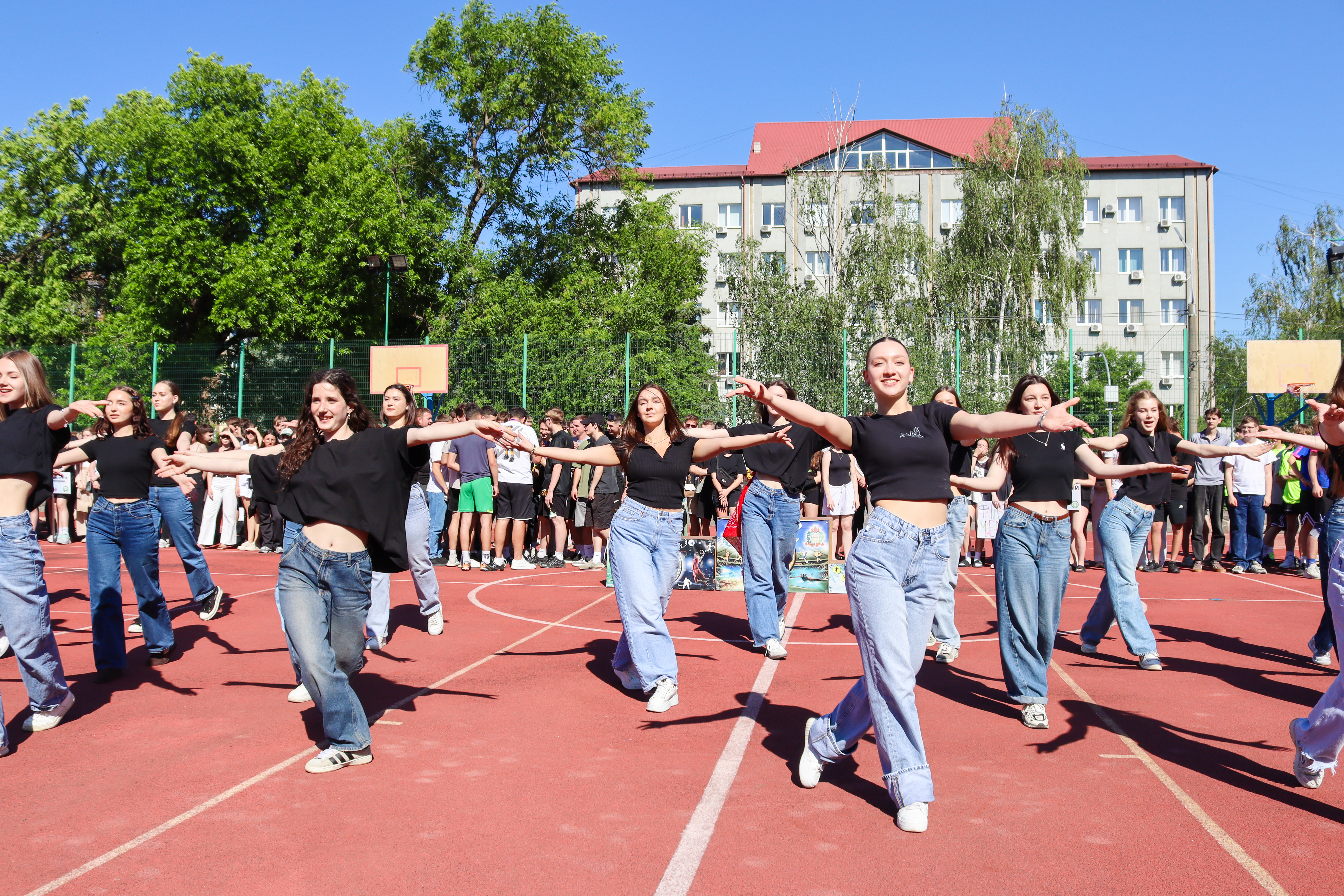 Світлина 15