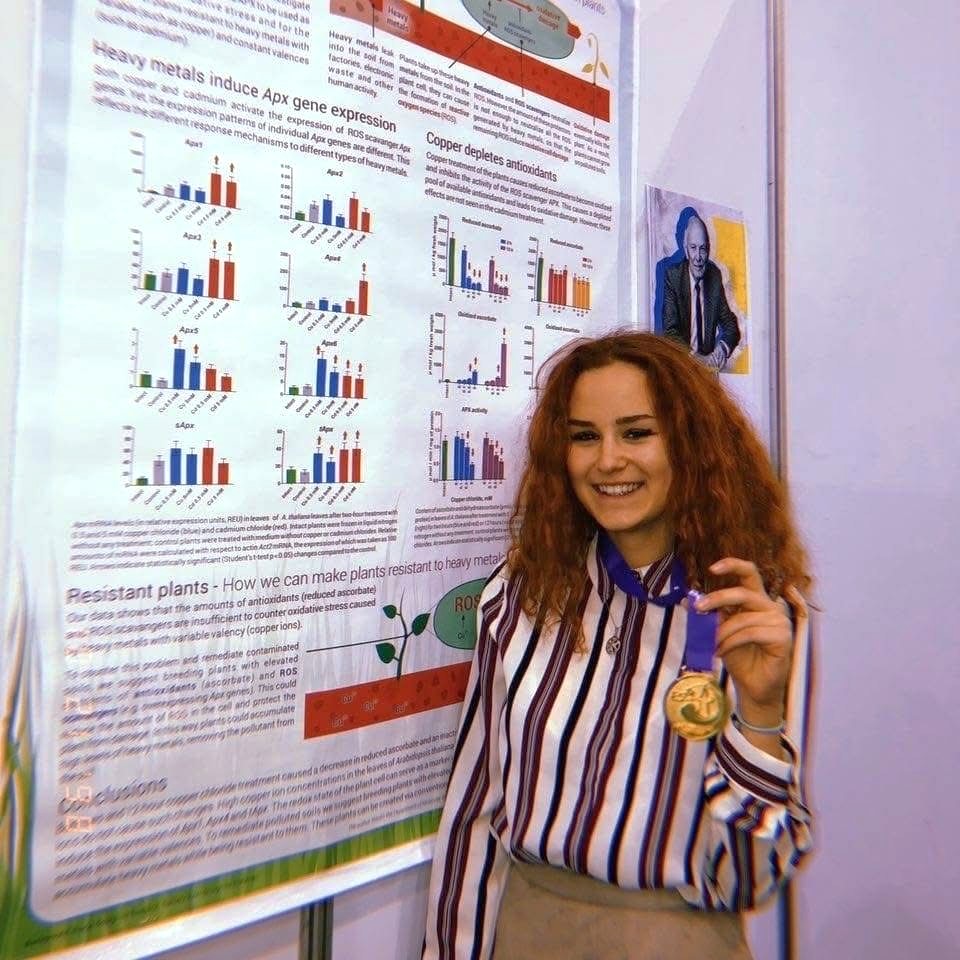 Світлина 15