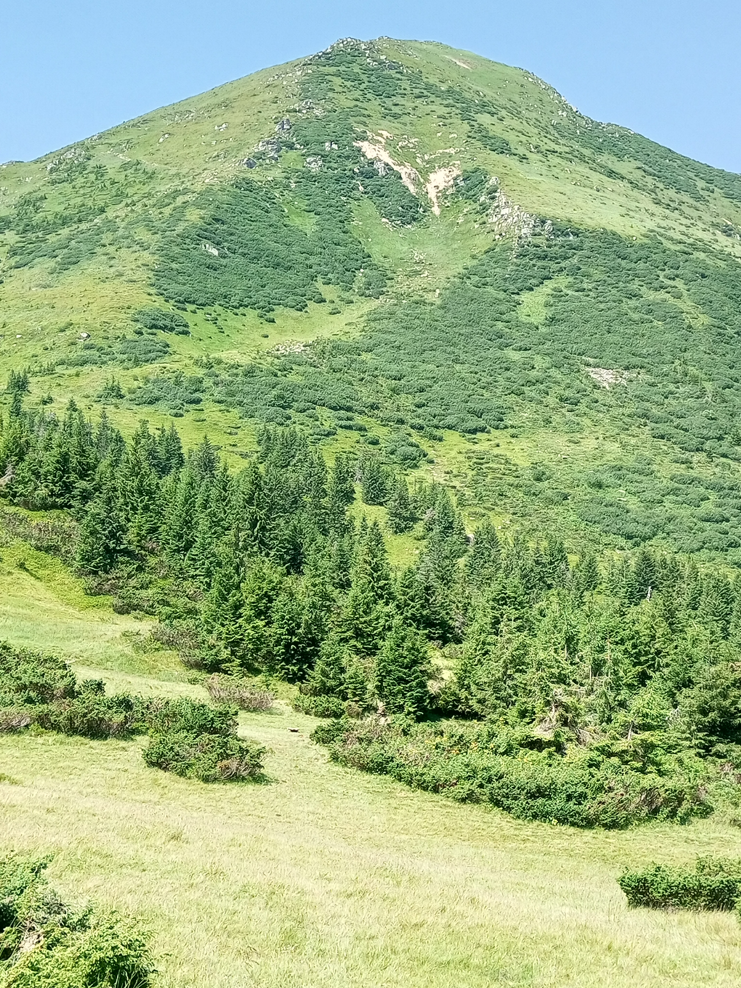 Світлина 1