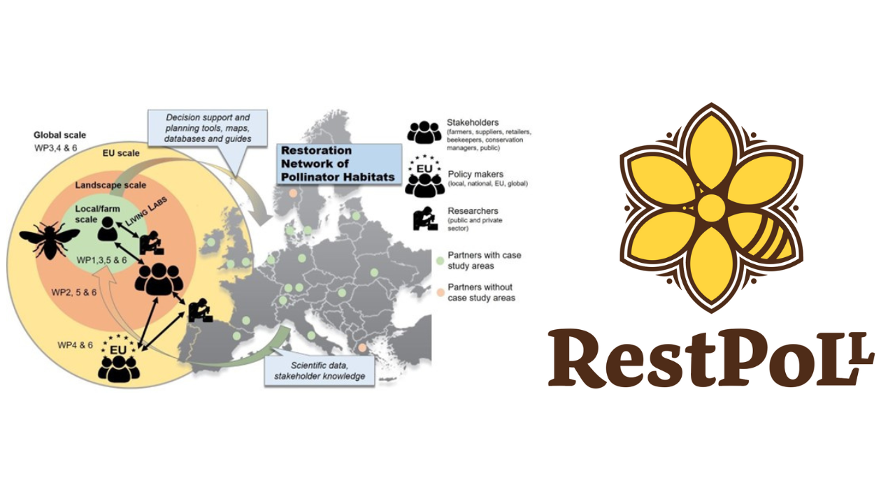 Перший виграний проєкт HORIZON для нашого університету
